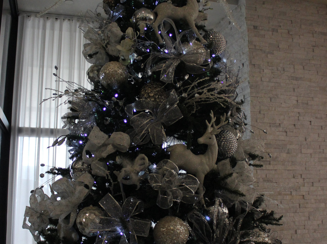 EB Hotel Miami Airport主图