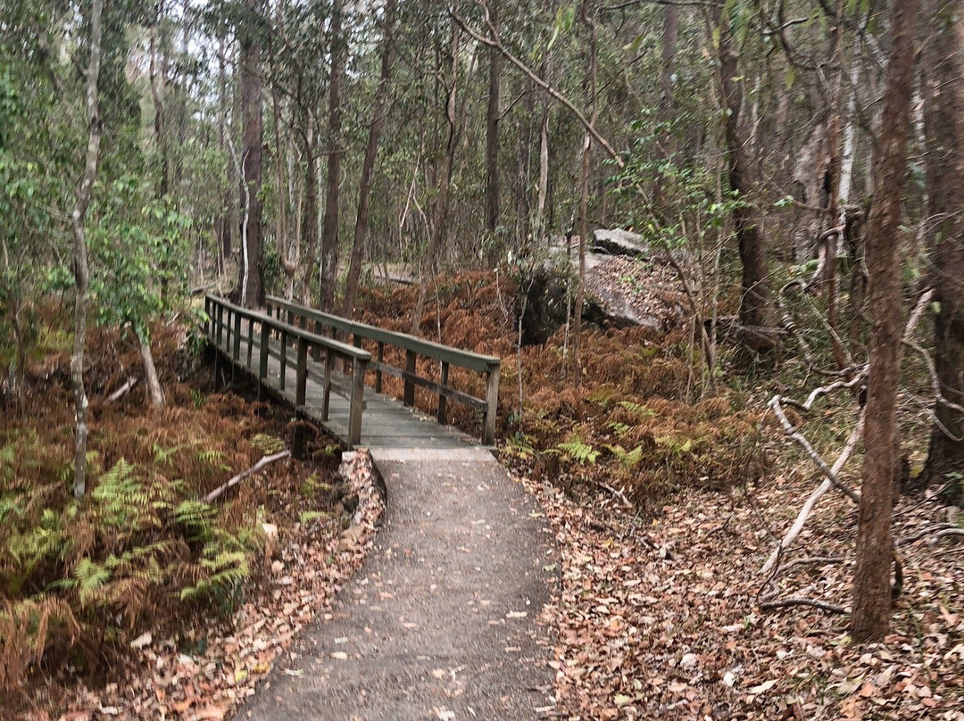 Springwood Conservation Park景点图片