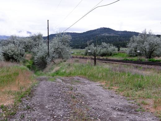 Monte Creek Provincial Park-坎卢普斯必去景点