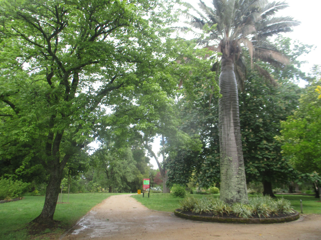 Kyneton Botanical Gardens-凯尼顿必去景点