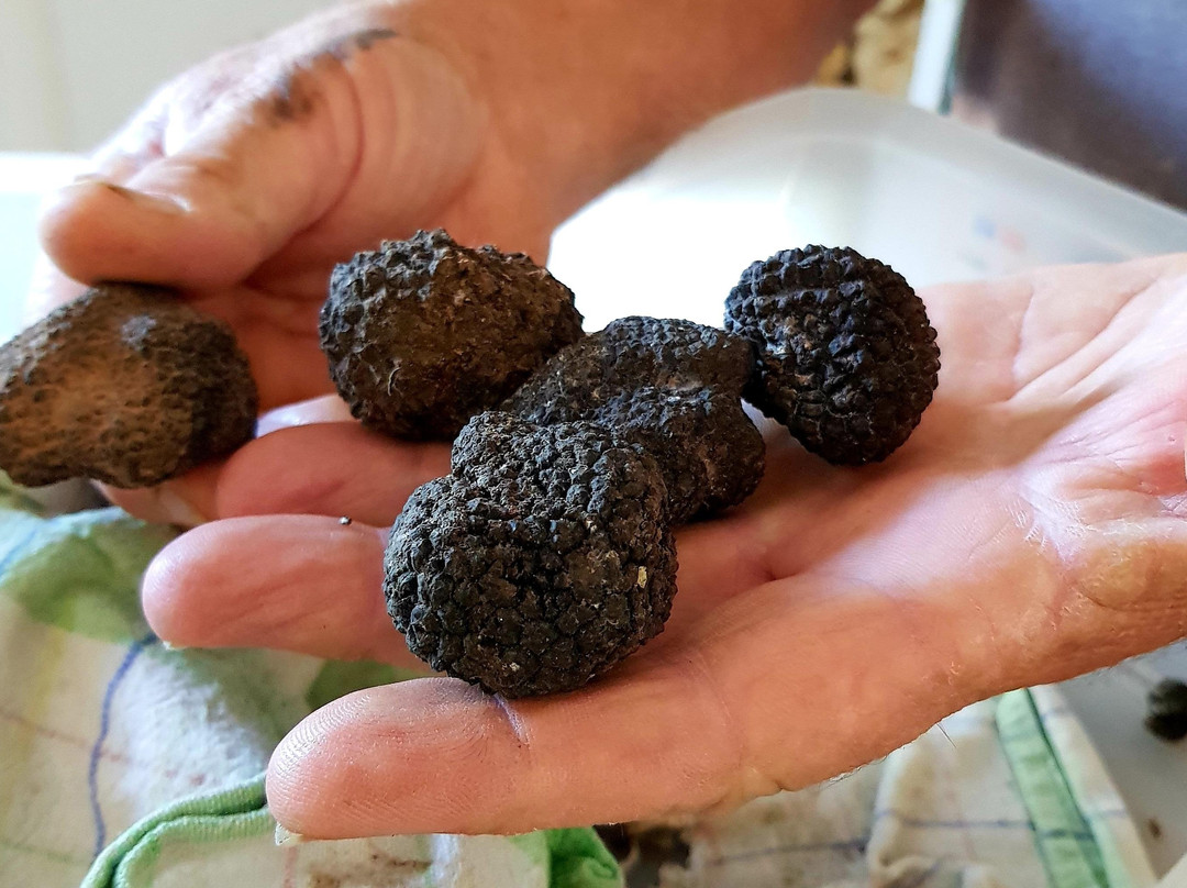 Perigourmet Gastronomic Tour Company-萨尔拉必去景点