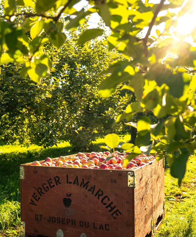 Verger Lamarche-Saint-Joseph-du-Lac必去景点