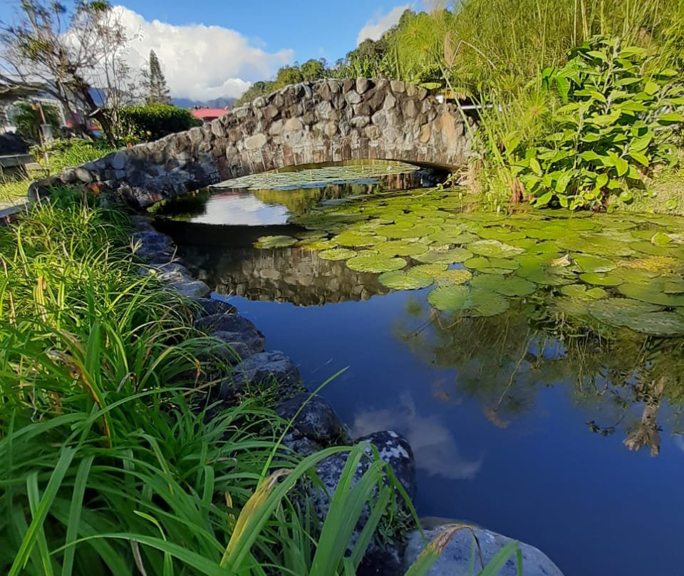 El Oasis Hotel & Restaurant主图