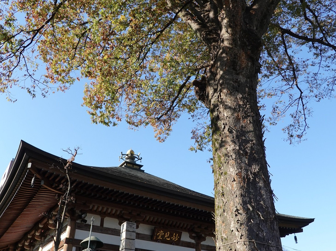 Sōji-ji Temple-西东京市必去景点