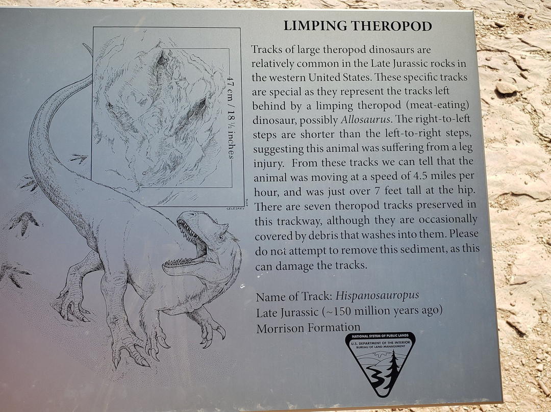 Copper Ridge Dinosaur Trackways景点图片