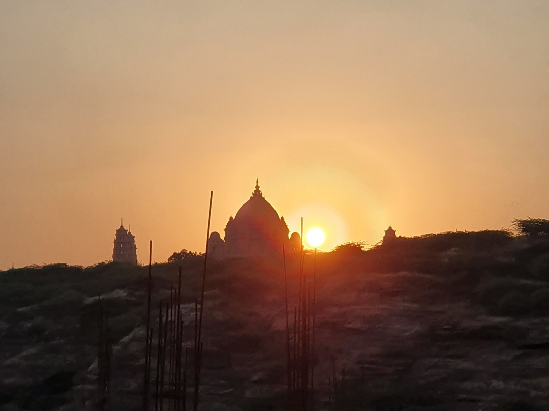 The Almond Tree主图