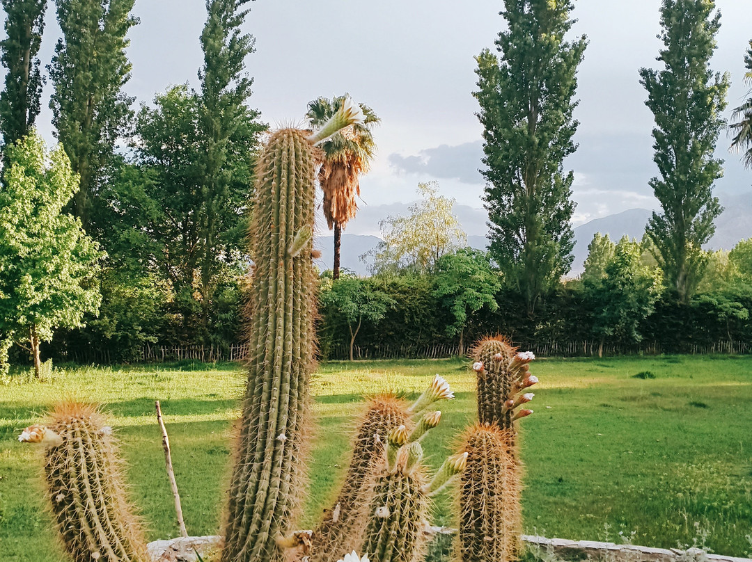 Pircas de Puyuta主图