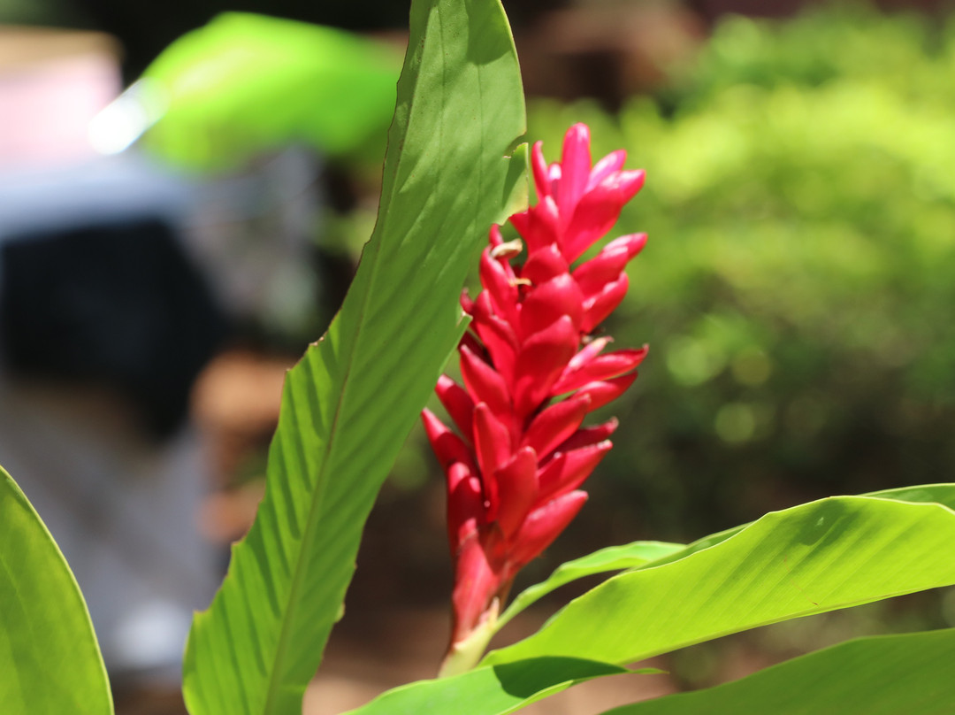 Shantai By The Lake主图