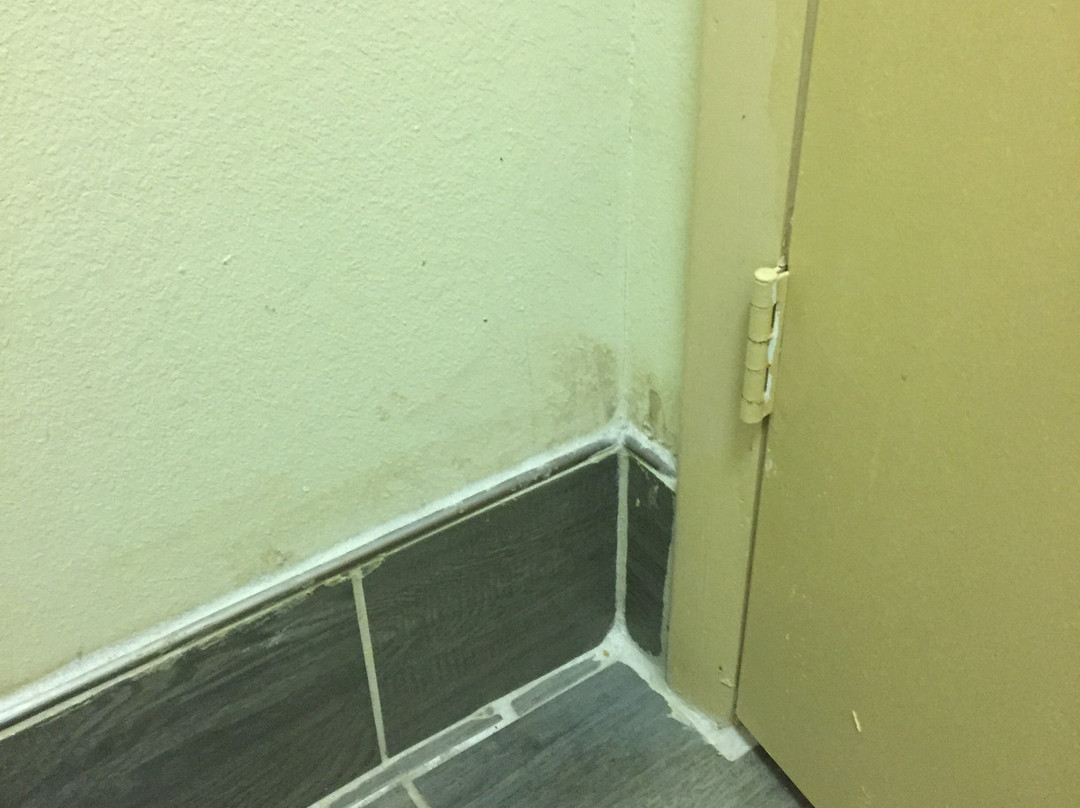 Best Western Royal Inn主图