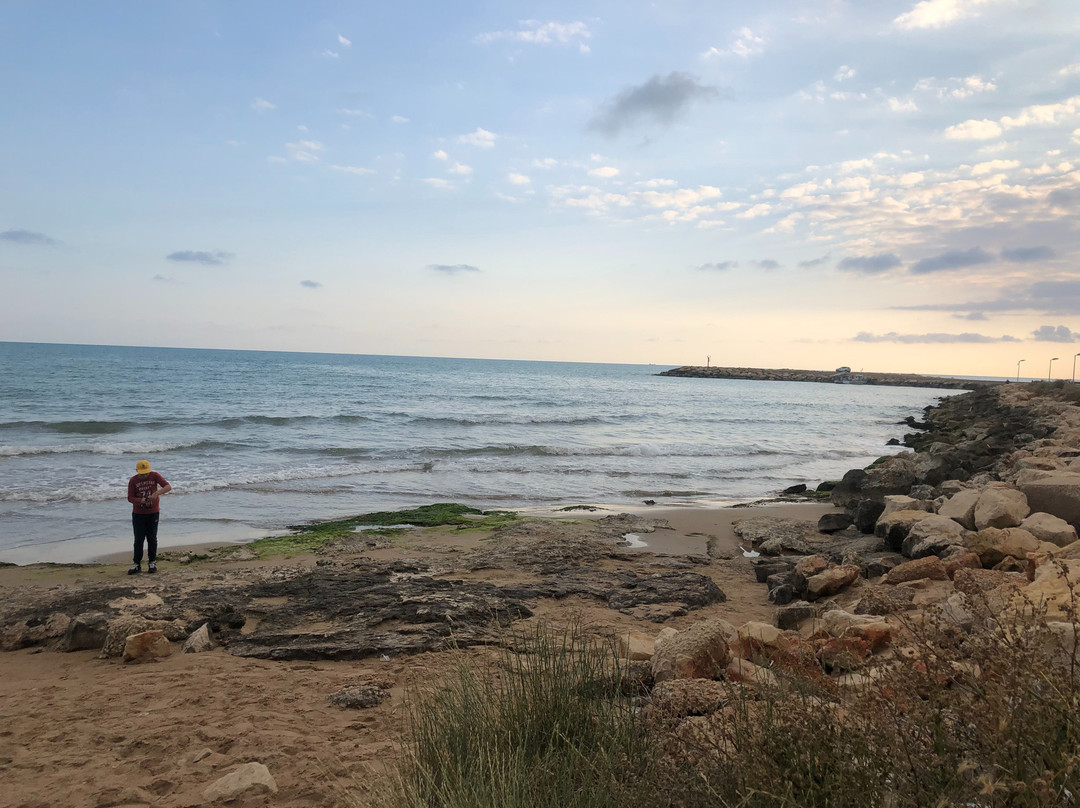 Zafran Boutique Hotel主图