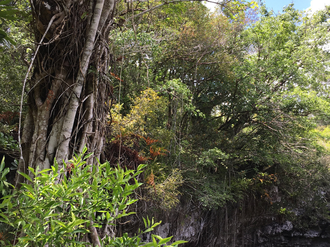 Le trou de Bone-Mare必去景点