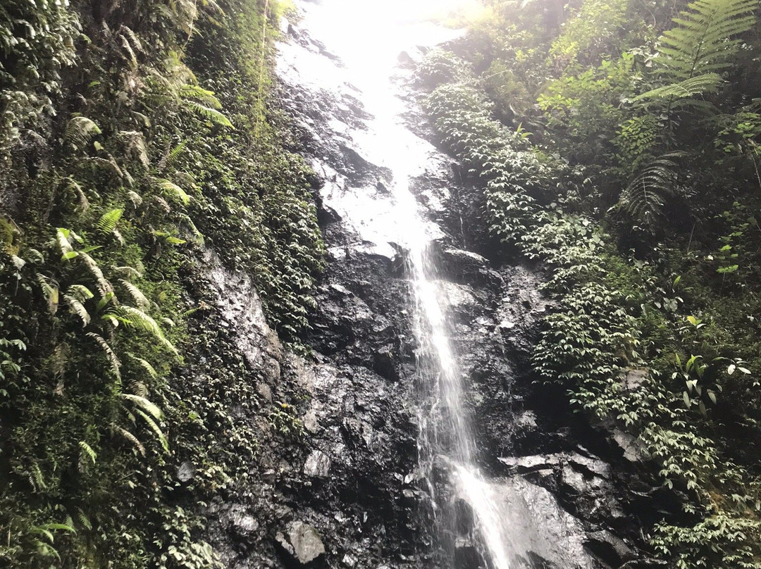 Kakek Bodo Waterfall景点图片