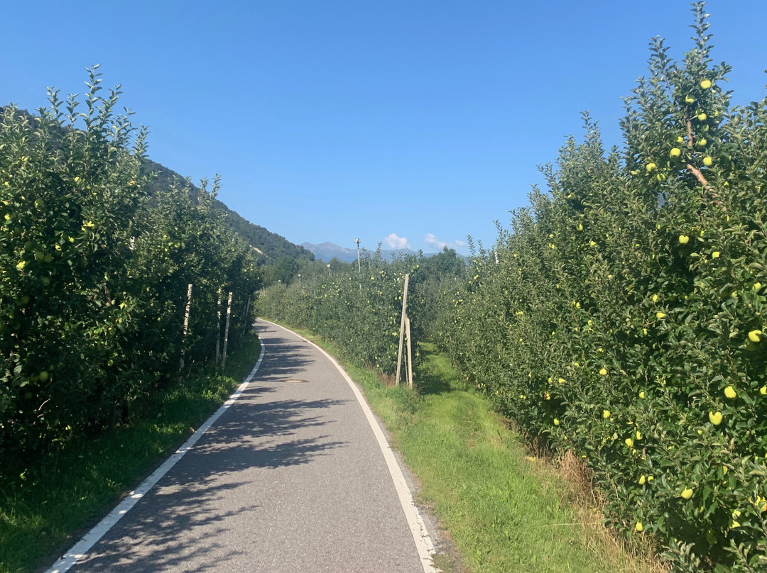 Landhaus Mondschein主图