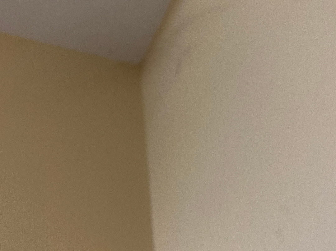 RnB Chittorgarh主图