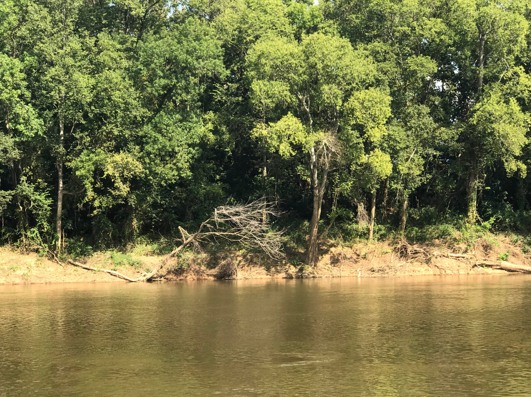 Laney Landing at Riverside Park景点图片