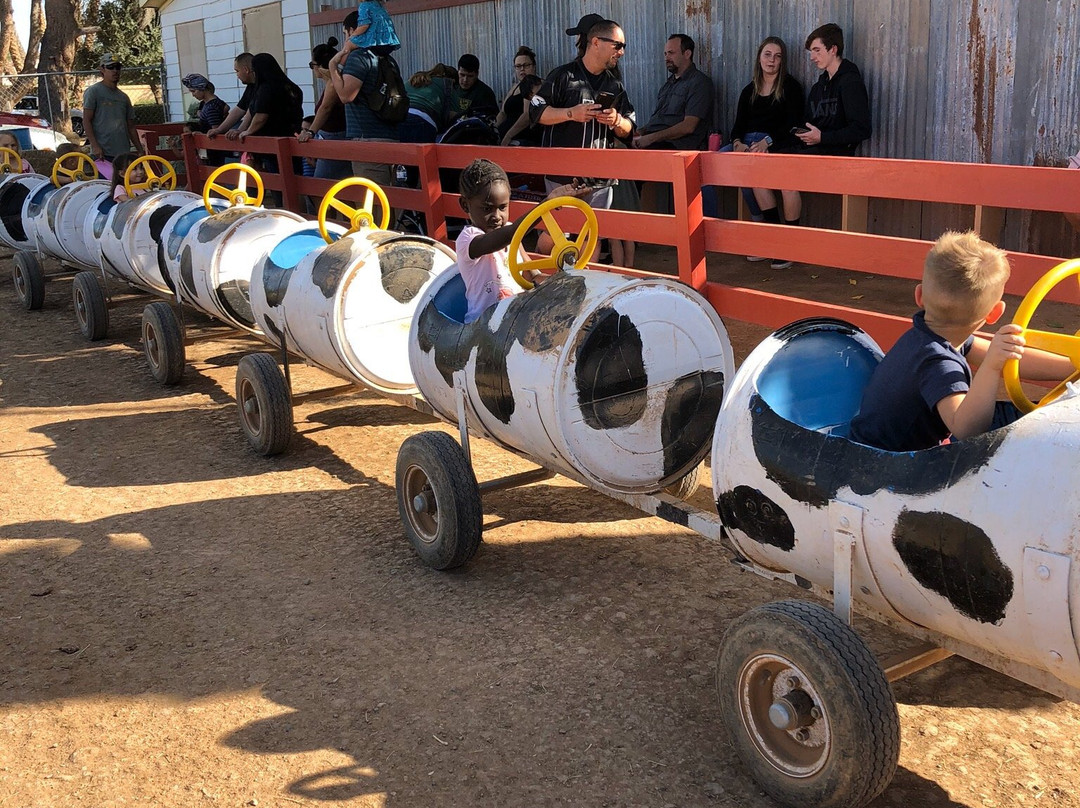 Tolmachoff Farms-格兰岱尔必去景点