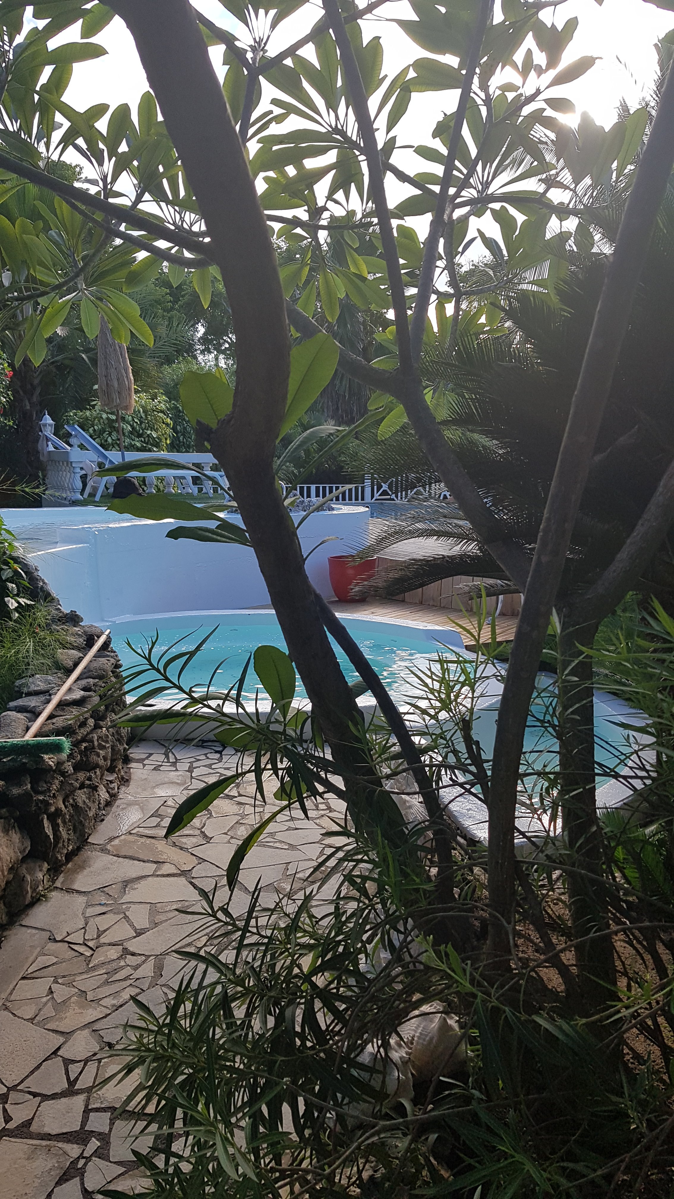Le Grand Palm-泳池