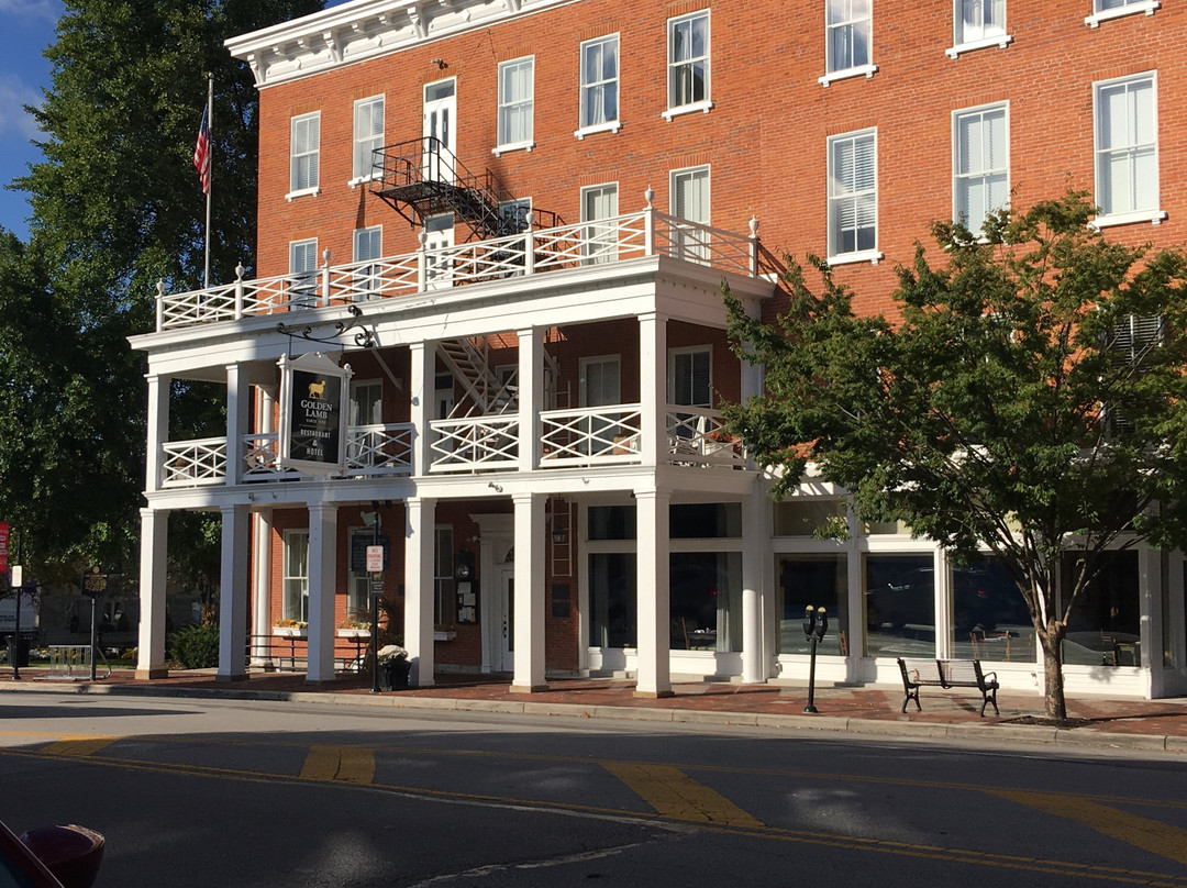 黄金羔羊旅舍主图