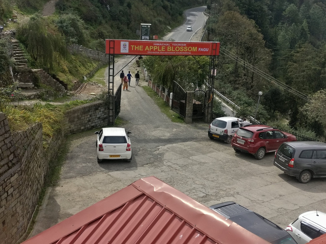 The Apple Blossom主图