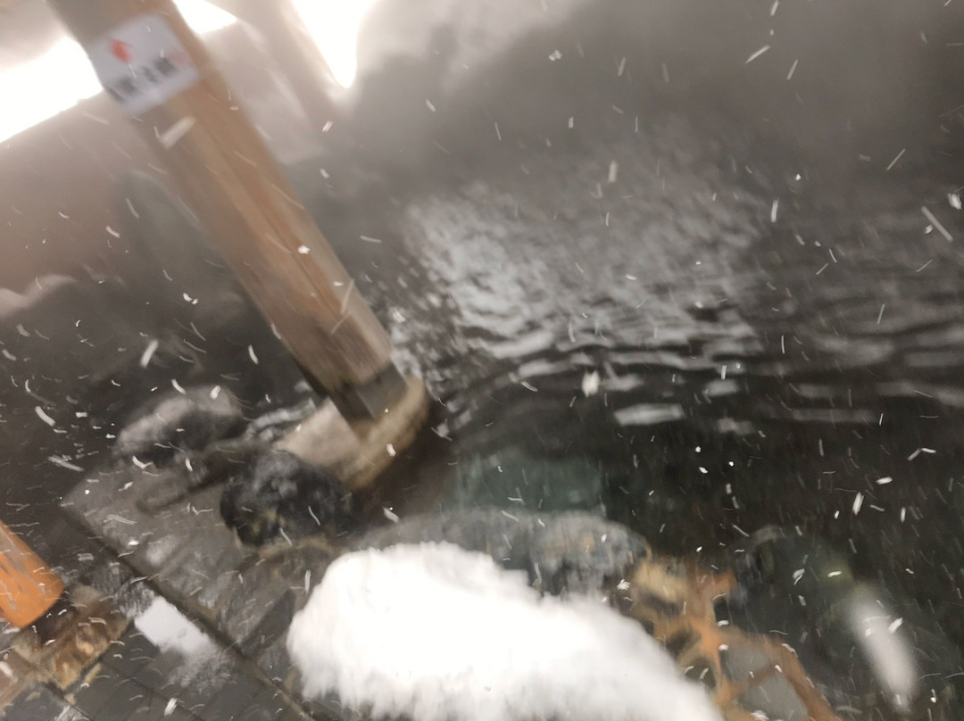 Ishiuchi Yung Parunas Day-use spa-南鱼沼市必去景点