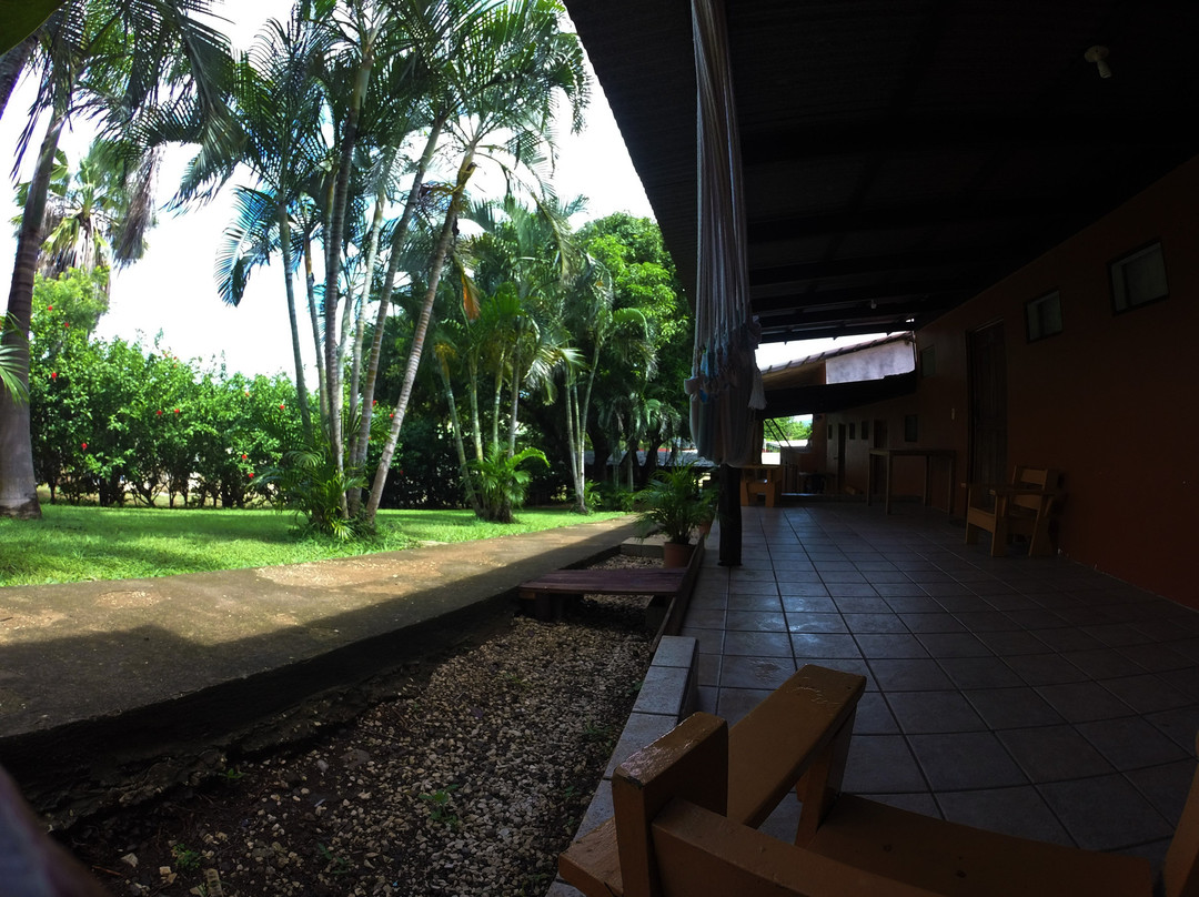 Tsunami Hostel主图