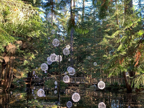 Viva Tours & Charters-北温哥华必去景点