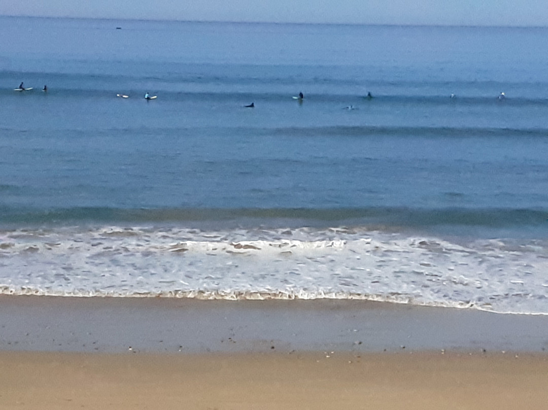 Surf Safari Morocco主图