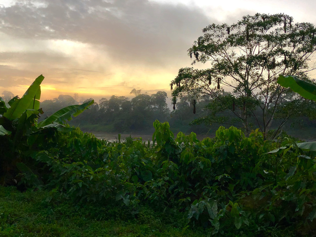 Wasai Tambopata Lodge主图