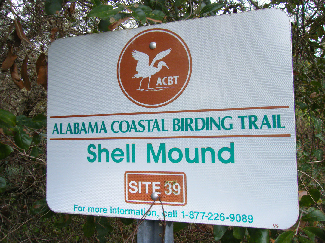Alabama Coastal Birding Trail-格尔夫海岸必去景点