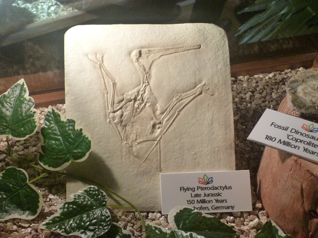 Treasures of the Earth-Corpach必去景点