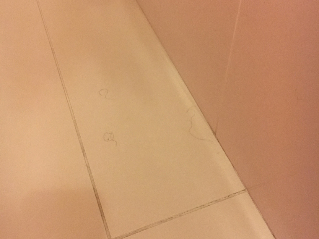 阿卡迪米亚酒店主图