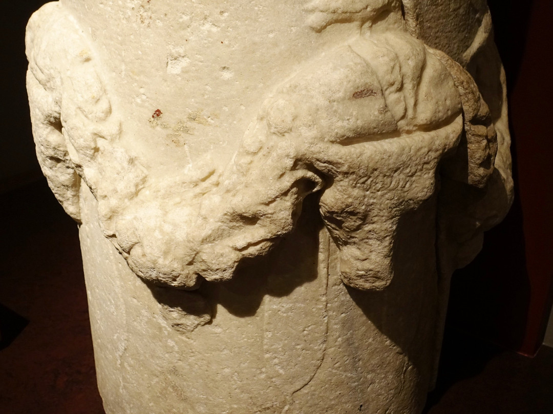 Leeds City Museum-利兹必去景点