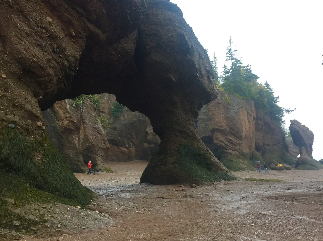 Hopewell Rocks-霍伯威尔角必去景点