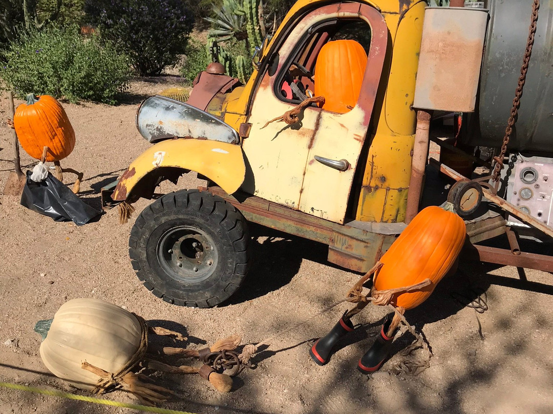 Carefree Desert Gardens-凯尔福利必去景点