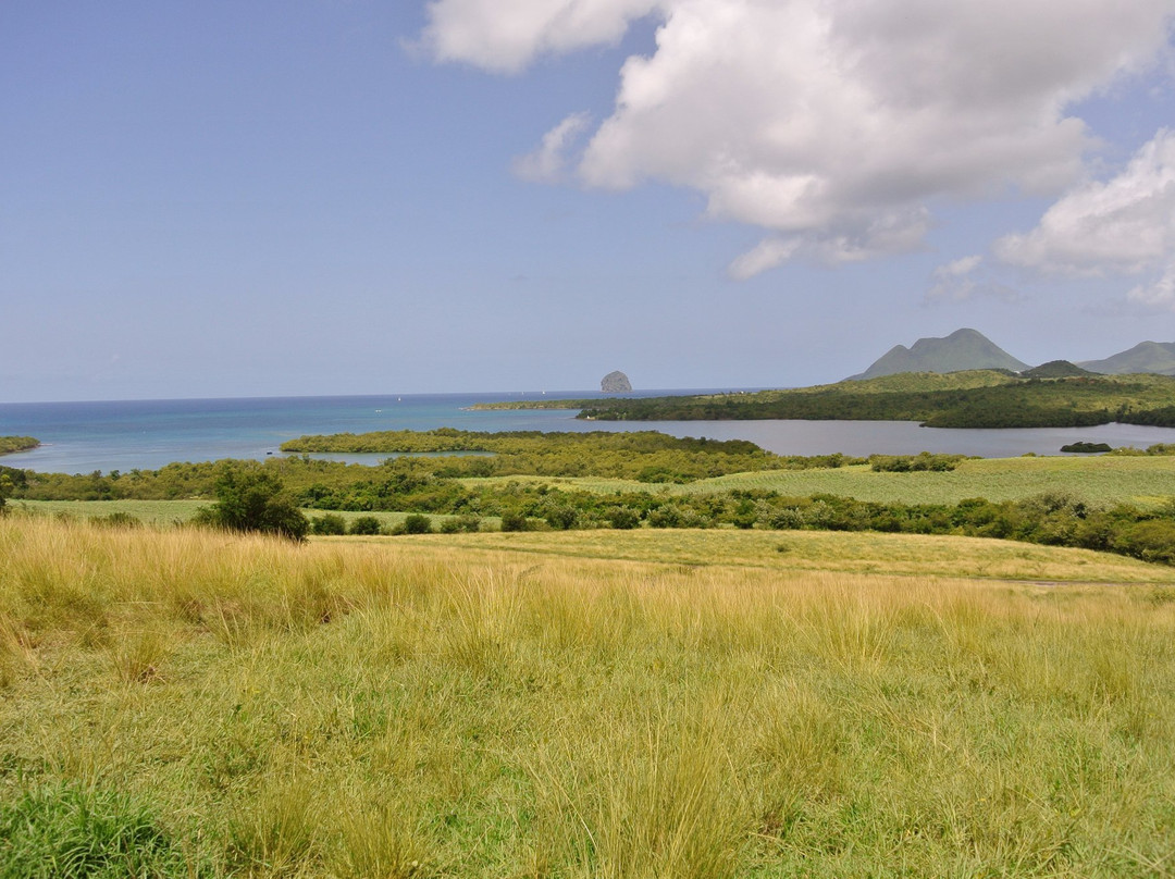 Planete Quad Martinique-圣吕斯必去景点