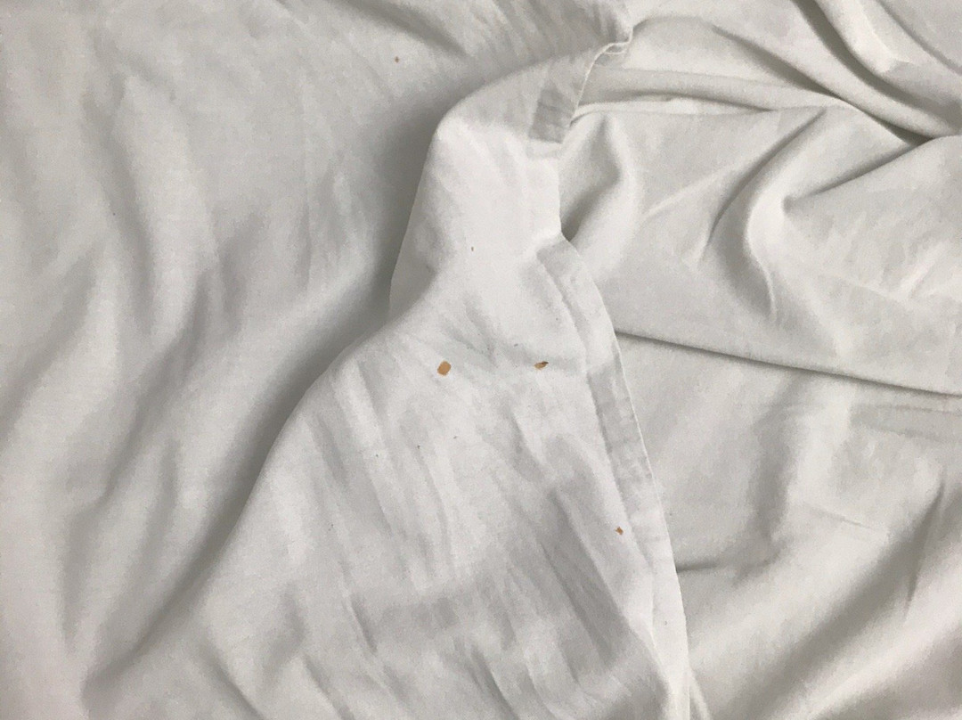 TRYP by Wyndham Chetumal主图