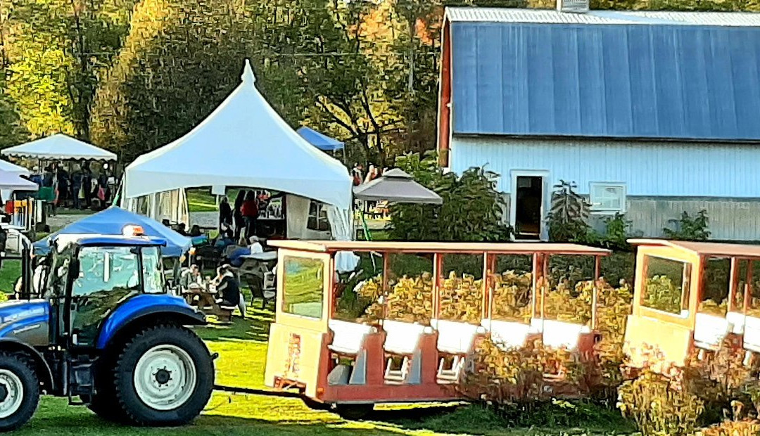 Domaine Ives Hill-Compton必去景点