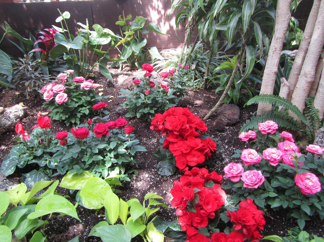 Regina Floral Conservatory