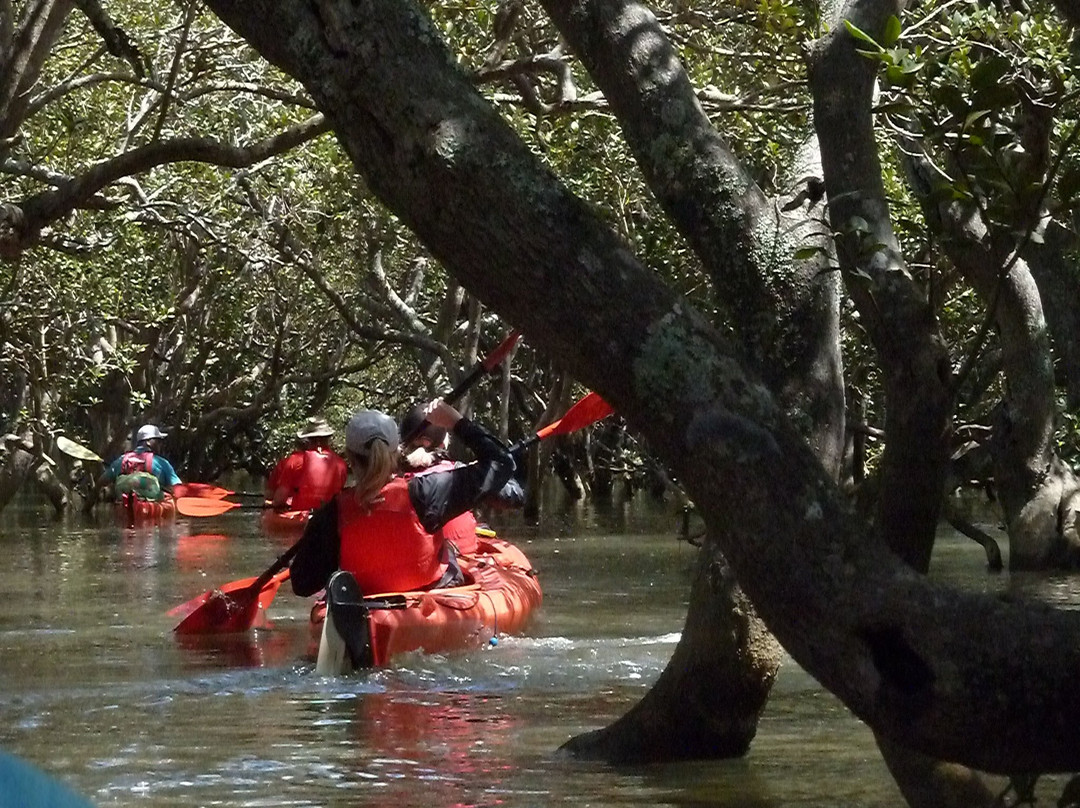 Coastal Kayakers景点图片