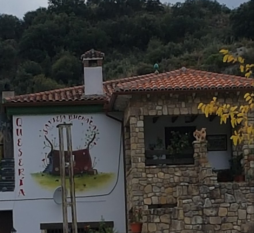 Queseria Ecologica La Vieja Buchaca