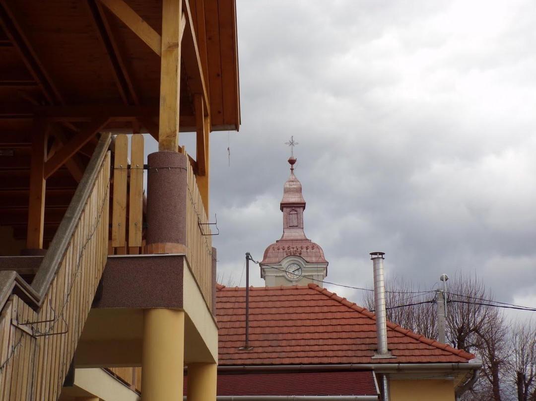 Ezustfenyo Vendeghaz主图