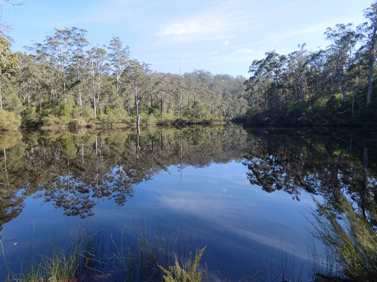 Shannon National Park-Manjimup必去景点