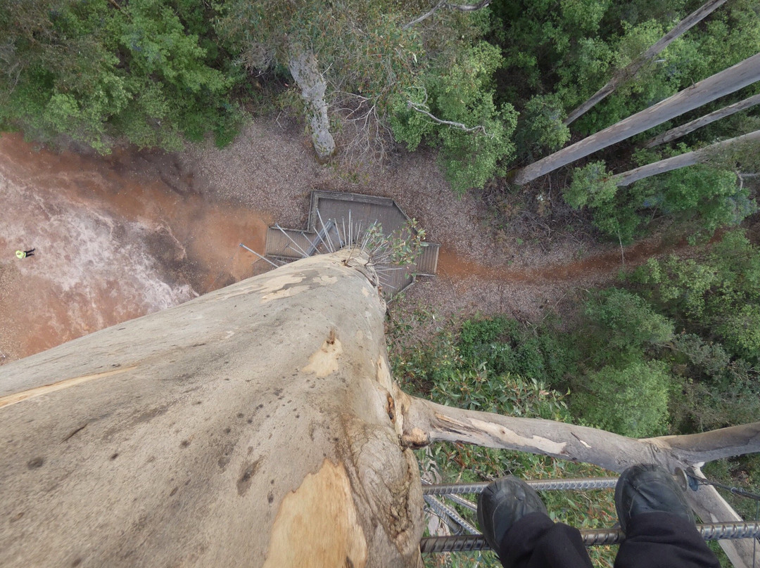 Warren National Park-彭伯顿必去景点