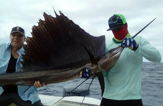 Lands End Charters-卡波圣卢卡斯必去景点