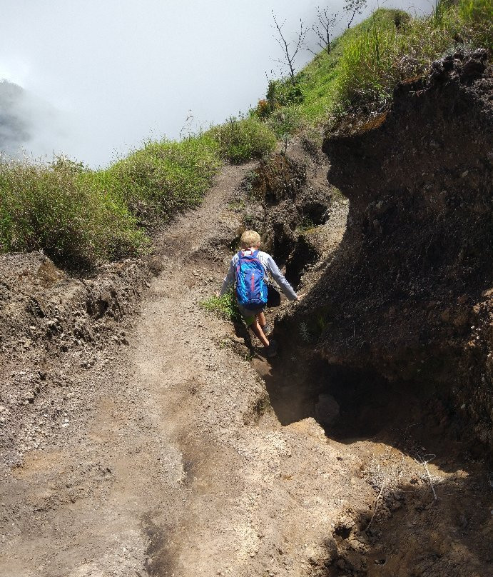 Mount Merbabu National Park-沙拉迪加必去景点