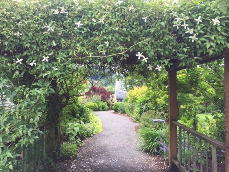 Rogerson Clematis Garden景点图片