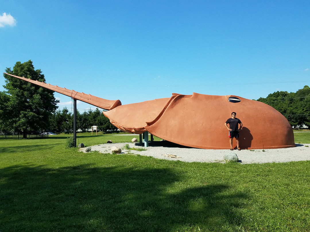 Worlds Largest Horseshoe Crab景点图片