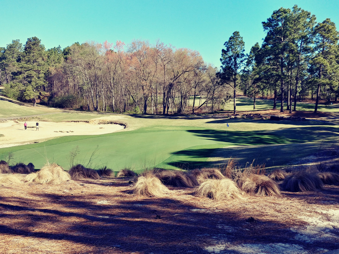 Legacy Golf Links景点图片
