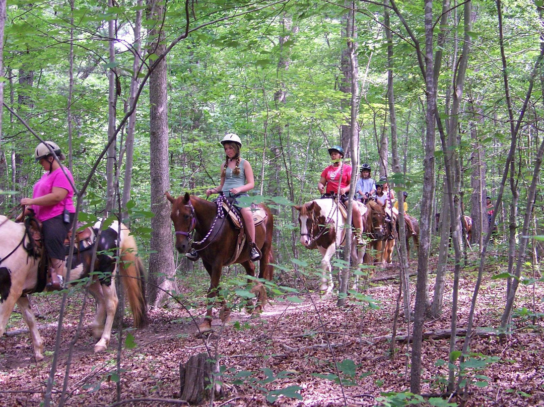 Happy Trails Farm - Private Trail Rides景点图片