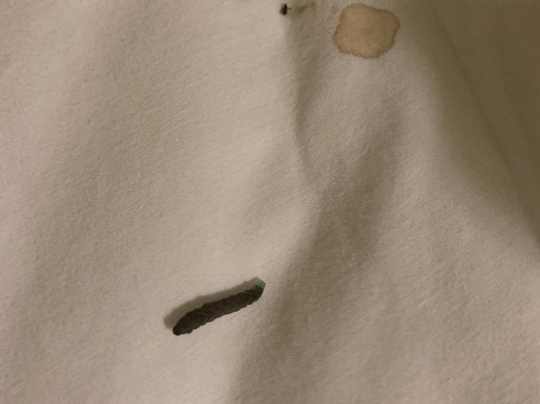 Sleep Inn & Suites主图